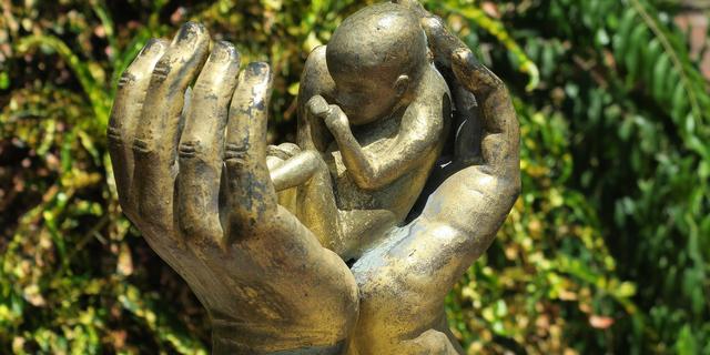 Des mains protègent un foetus